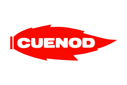 Assistenza Cuenod caldaie
