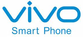 Assistenza vivo